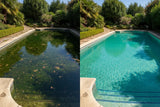 Grön pool med alger jämfört med kristallklart poolvatten
