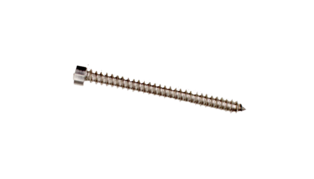 Leia specialskruv 4,8x50mm för gavel - Poolbygget