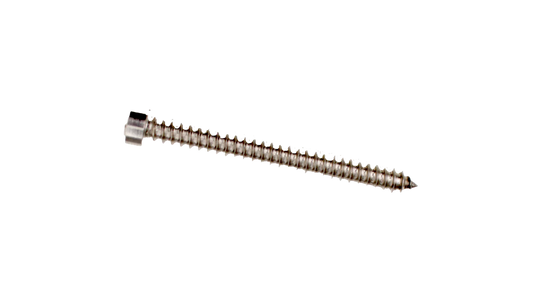 Leia specialskruv 4,8x50mm för gavel - Poolbygget