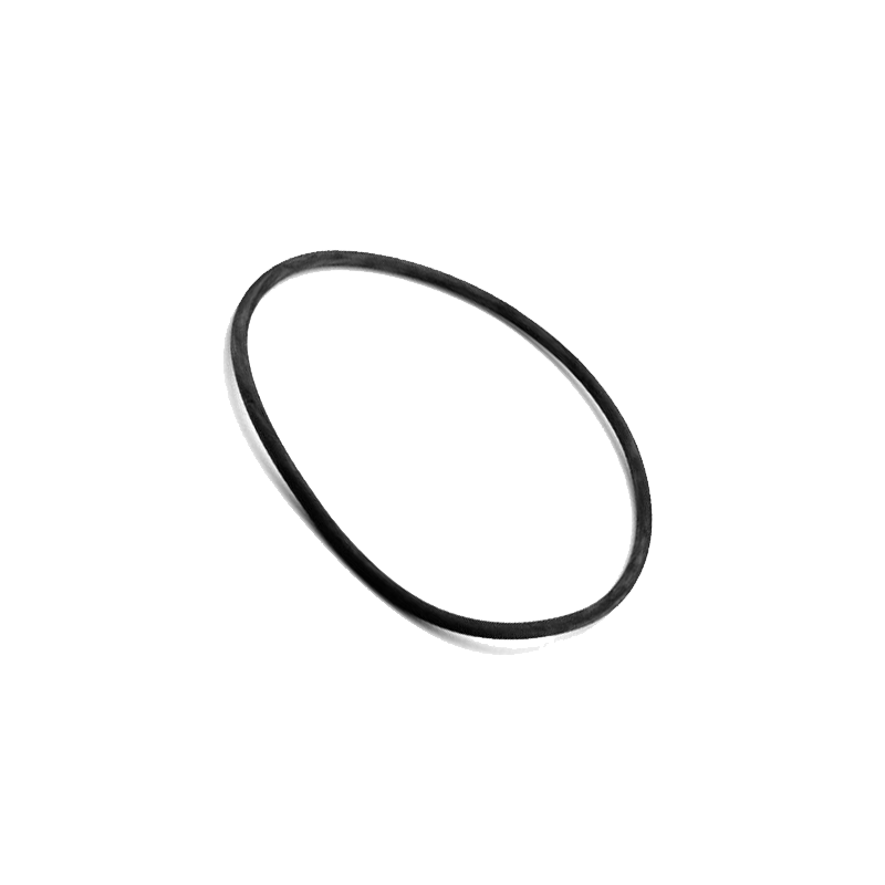 Astral Cantabric O-ring sandfilter
